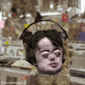 Brian Peppers Cat2.gif