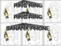 Bananaphone.jpg