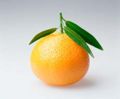 Tangerine.jpg